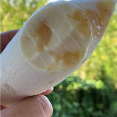Delicia de Abacaxi